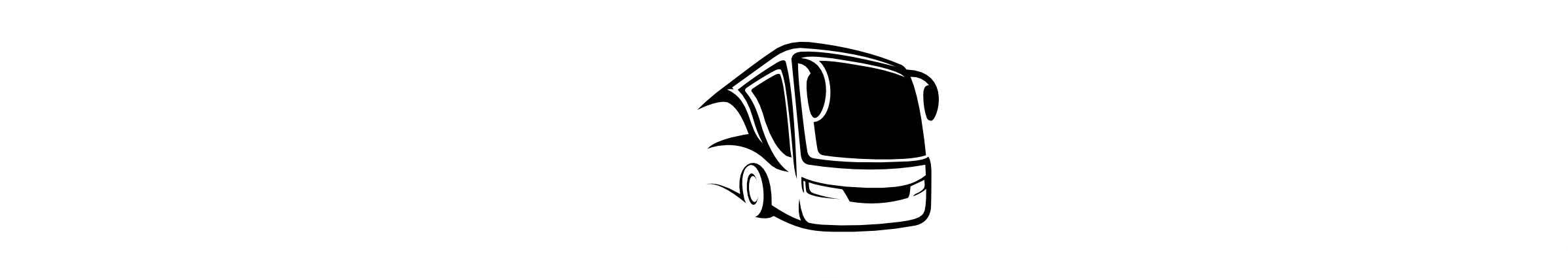 Transportes Com Carinho