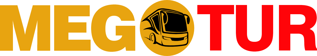 Transportes Com Carinho